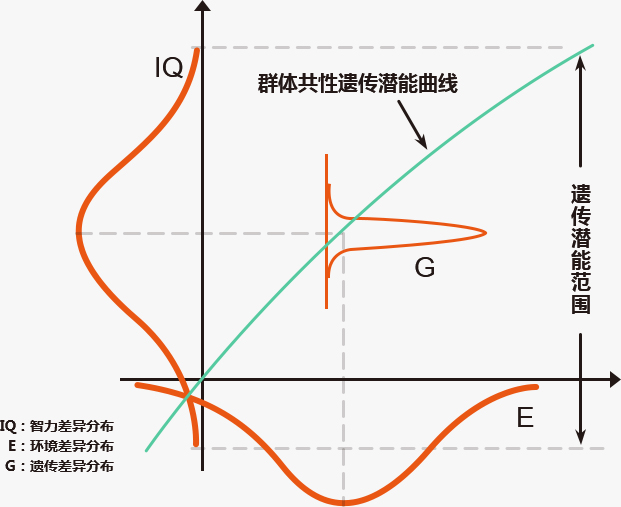 2024澳门官方网站