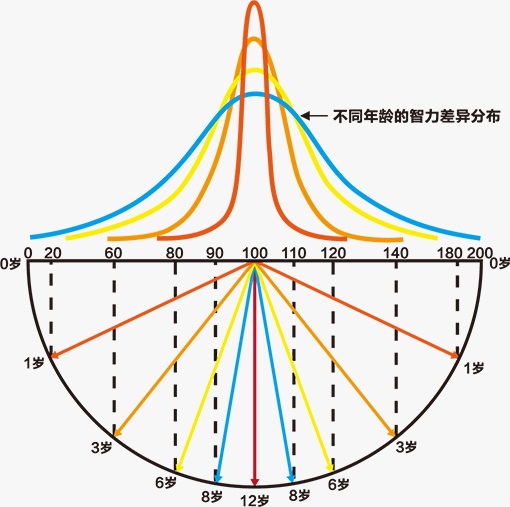 2024澳门官方网站